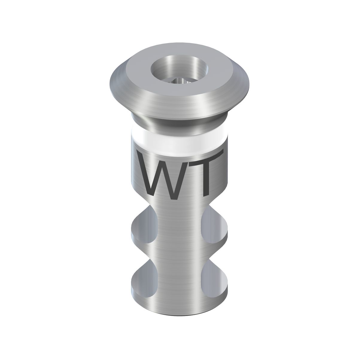 WT Implant Analoog