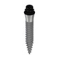 Straumann Mini Ø2.4mm GH 2.8mm