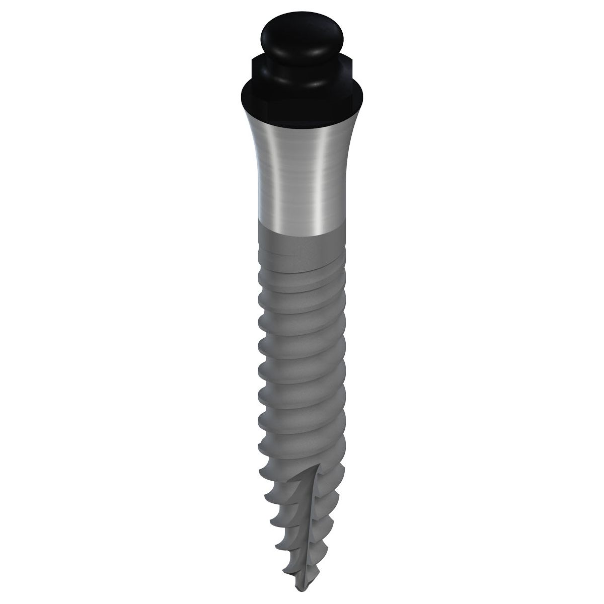 Straumann Mini Ø2.4mm  GH 3.8mm