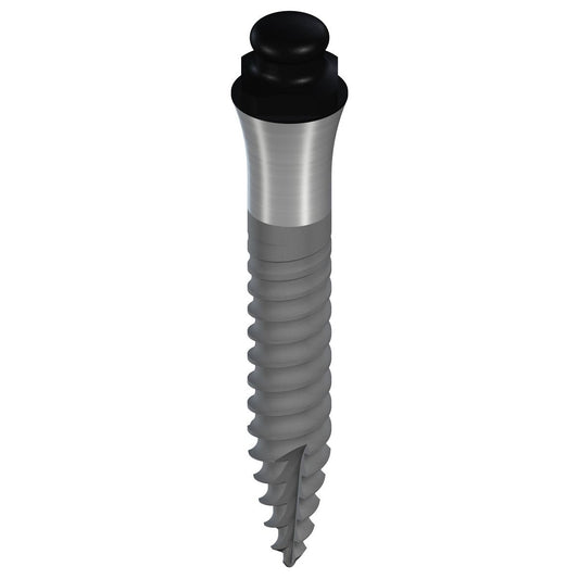 Straumann Mini Ø2.4mm  GH 3.8mm
