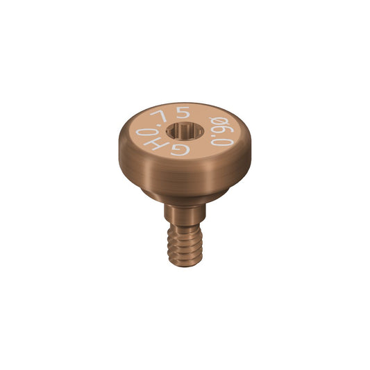 WB igemeformeerijad GH 0.75, Straumann