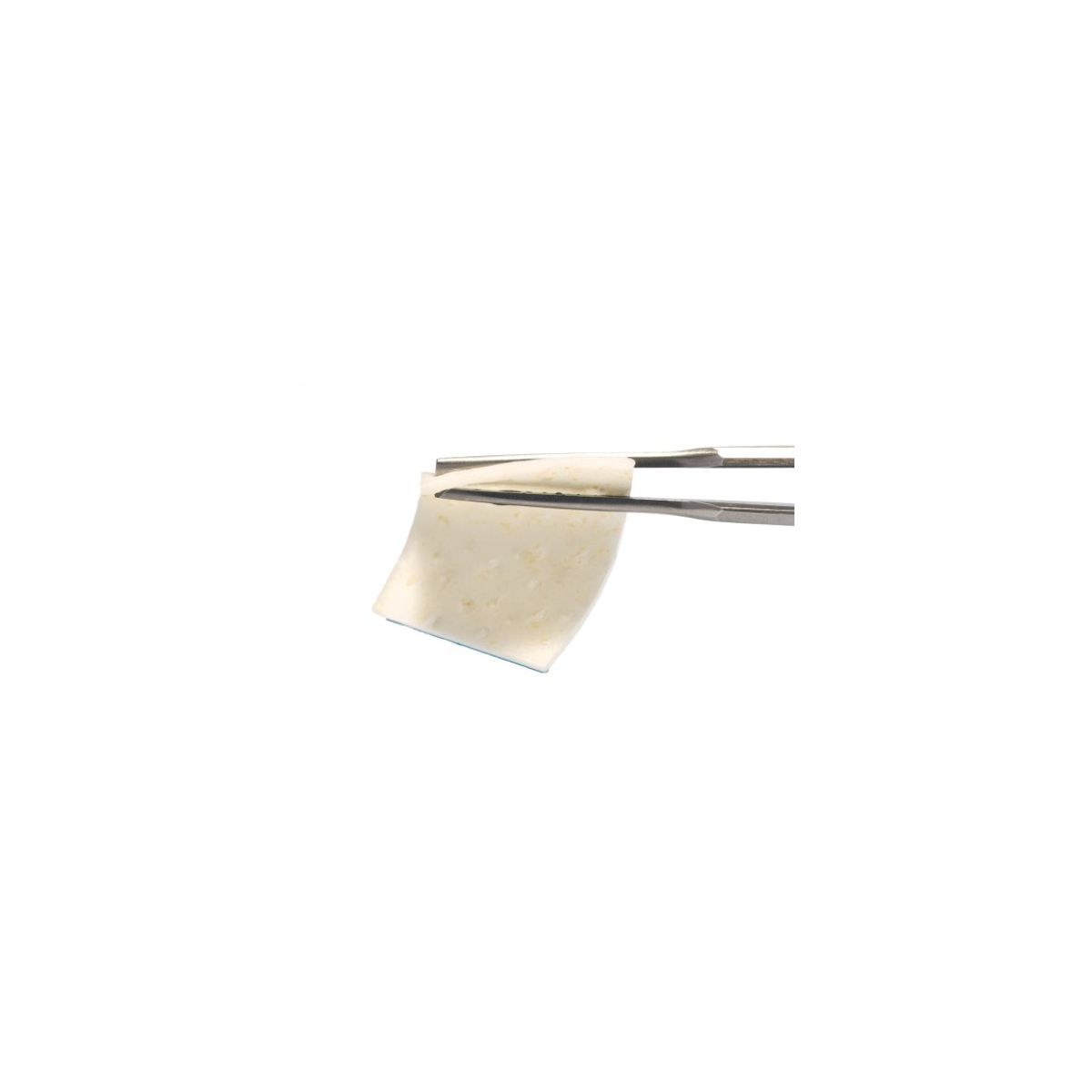 Soft Tissue Graft 15x20mm, Straumann